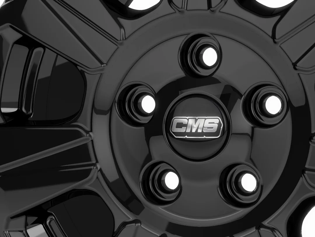 CMS C31